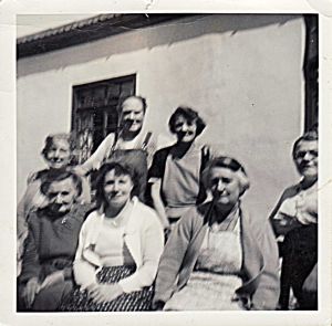 donated by rose sm.jpg